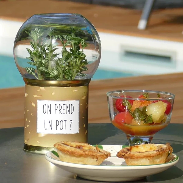 Déco florale - Terrarium SAINT VALENTIN - Idées de cadeaux VILLEPINTE 93
