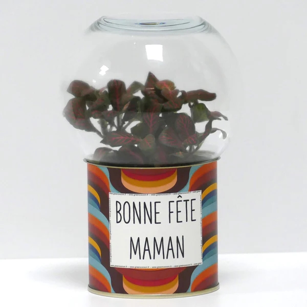 Déco florale - Terrarium Fête des Mères - Idées de cadeaux NOYELLES-GODAULT 62
